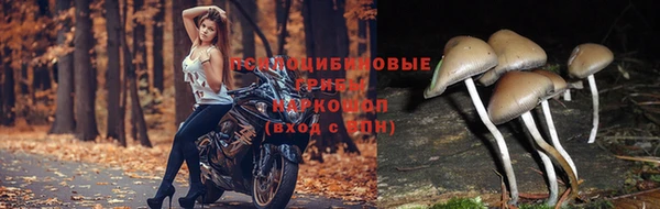 мефедрон мука Бородино