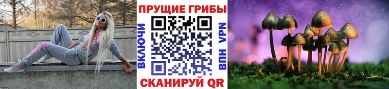 Псилоцибиновые грибы GOLDEN TEACHER  Купить  Собинка 